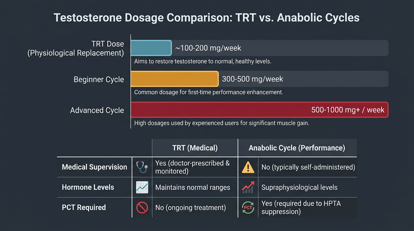 TRT vs Anabolic Cycle Dose Comparison